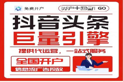 大型企业SEM外包实战案例